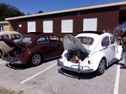 Beetle Show Rioz (89)